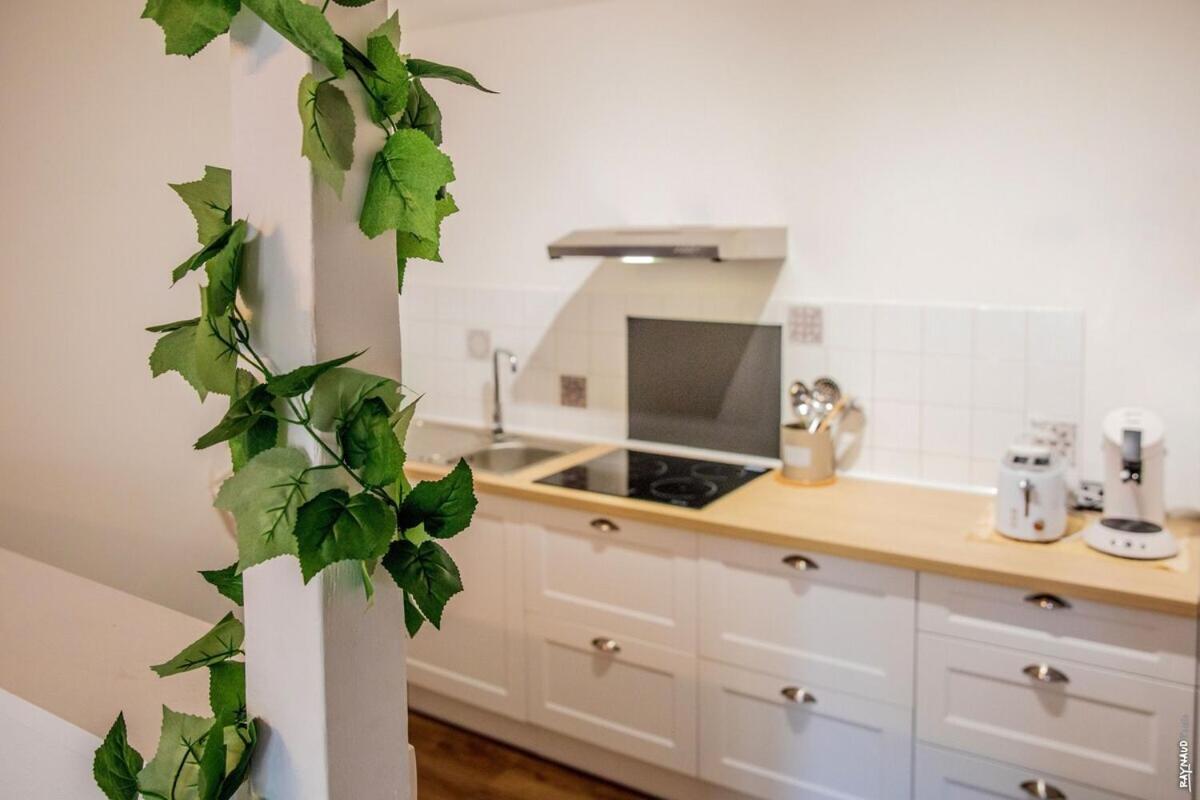 Appartement Tout Confort - Hypercentre - 58M2 - Gaillac Kültér fotó