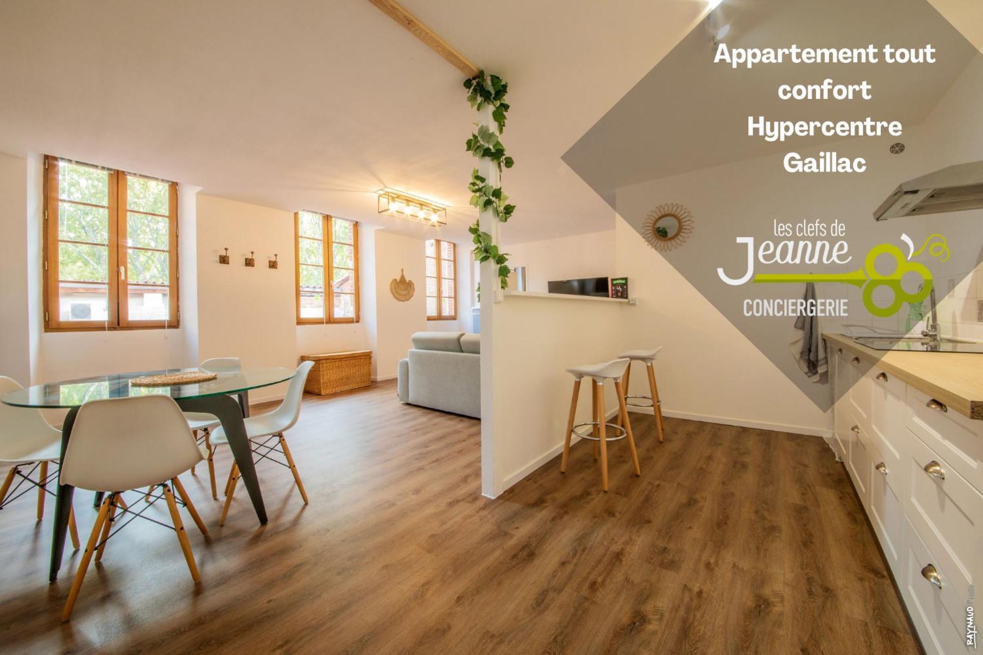 Appartement Tout Confort - Hypercentre - 58M2 - Gaillac Kültér fotó